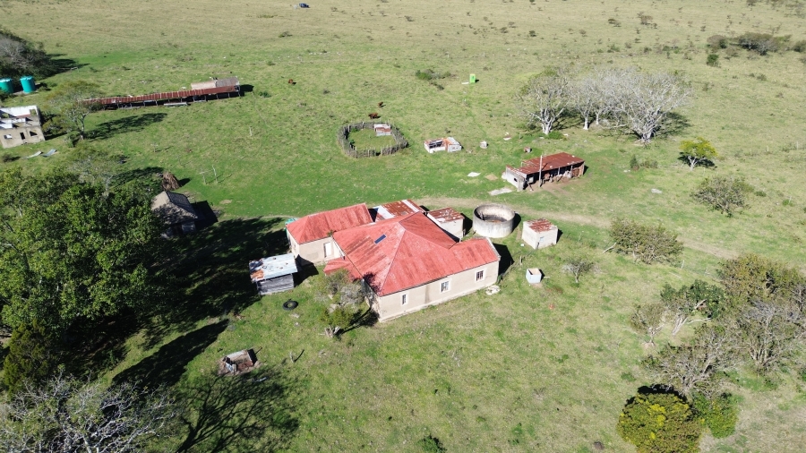 Commercial Property for Sale in Komga Eastern Cape